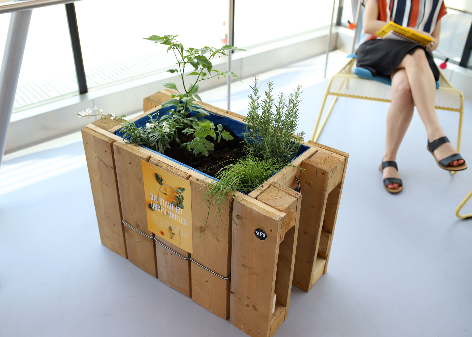 Verena Lepuschitz, Urban Gardening can happen anywhere!, 2019; Foto: Bettina Mörz